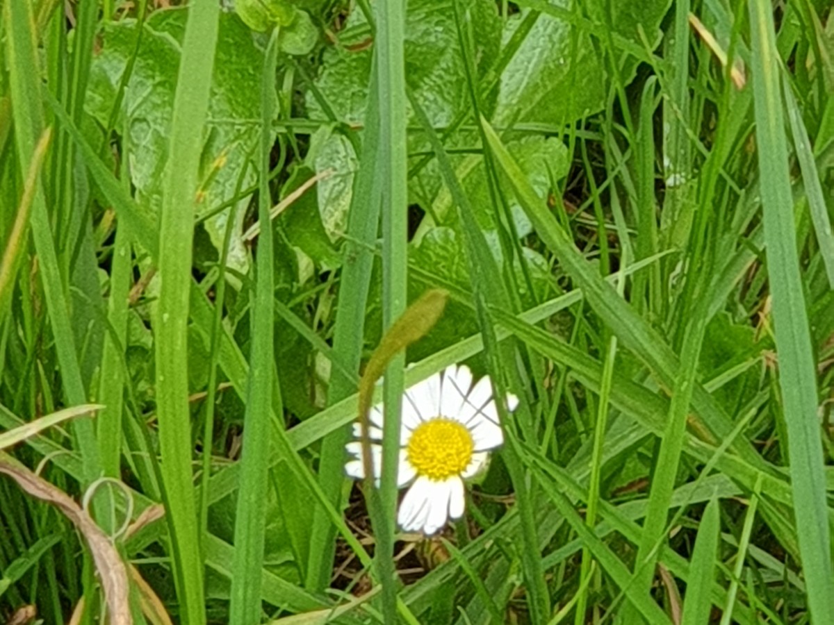 Happy Teachers’ Day – my 1st ever blog is dedicated to the world’s Teachers and&nbsp;Educators